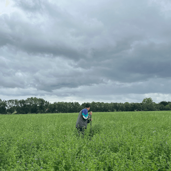 Un homme vu de dos au milieu d'un champ