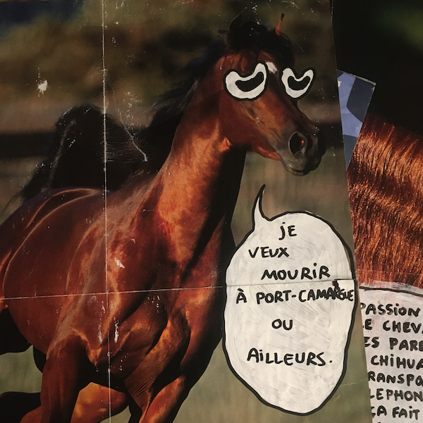Poster d'un cheval sur lequel on a ajouté une bulle qui dit 'Je veux mourir à Port-Camargue ou ailleurs'