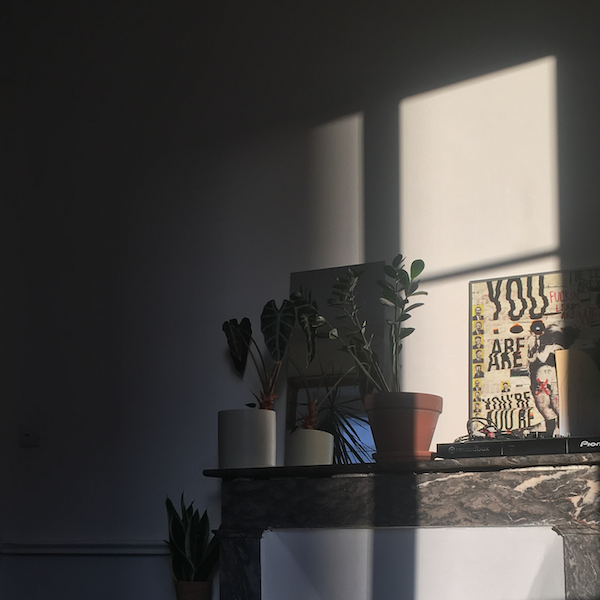 Un morceau d'un salon d'appartement : derrière un canapé, une cheminée et des plantes