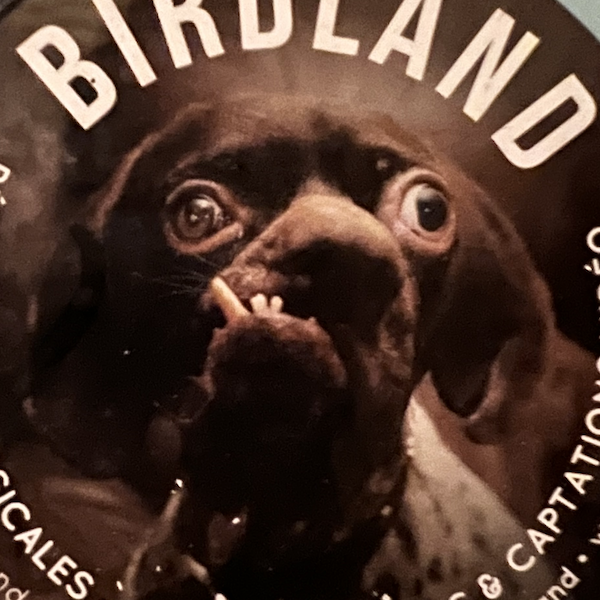 morceau d'un sticker représentant un chien